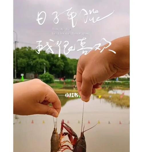 如何在义乌附近钓龙虾？有哪些有效的钓鱼技巧？