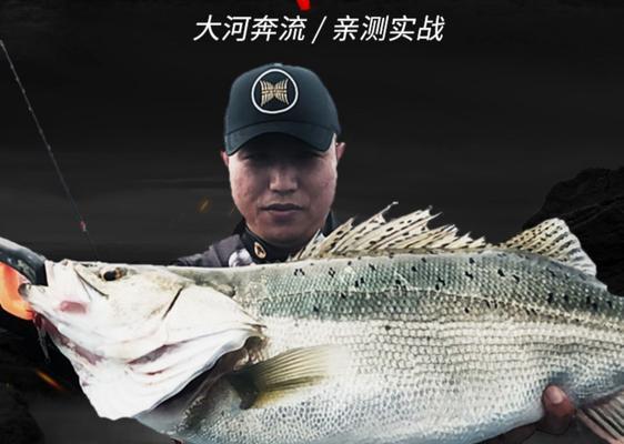 钓鲈鱼时如何选择合适的钓具装备？有哪些高效钓法推荐？