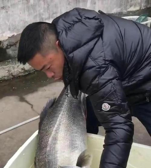 如何掌握钓鲈鱼的定点钓和浮钓技巧？