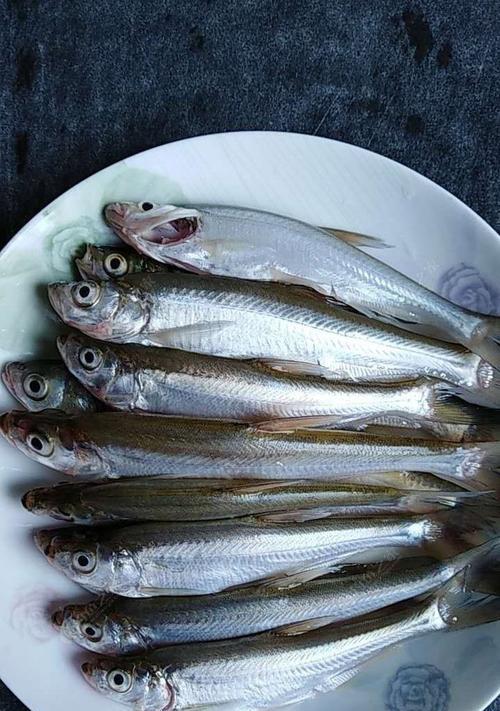 如何掌握钓翘嘴浮钓的正确方法和技巧？