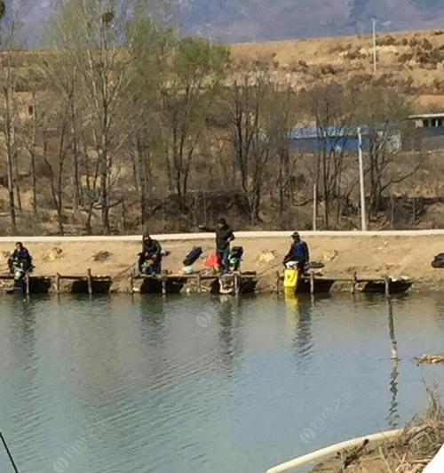 钓水库钓鱼技巧有哪些？如何提高钓水库的鱼获量？