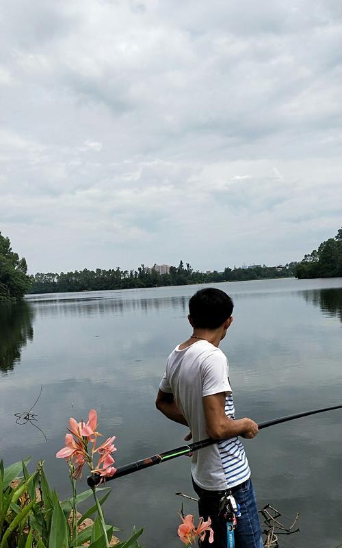 钓水库钓鱼技巧有哪些？如何提高钓水库的鱼获量？