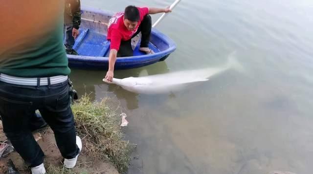 钓乌头鱼时浮钓和钓底哪种方法更有效？