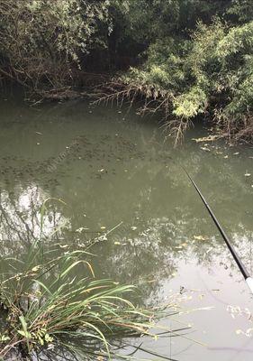 钓乌头鱼时浮钓和钓底哪种方法更有效？