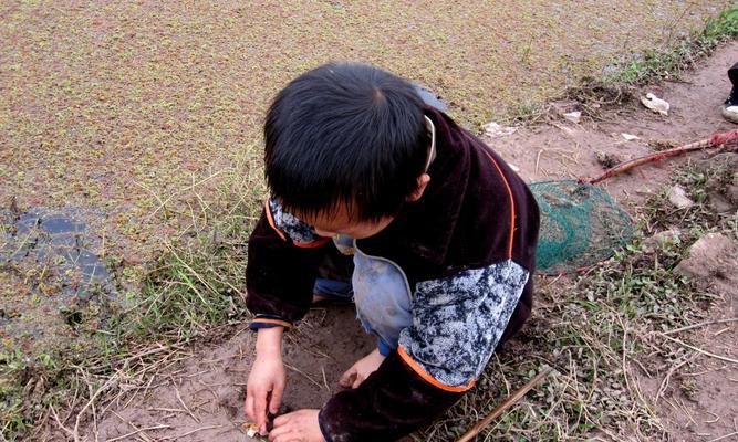 野外钓虾有哪些技巧？如何提高钓虾的成功率？