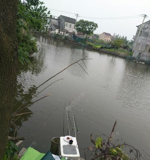钓虾技巧如何看浮标？浮标动作透露哪些信号？
