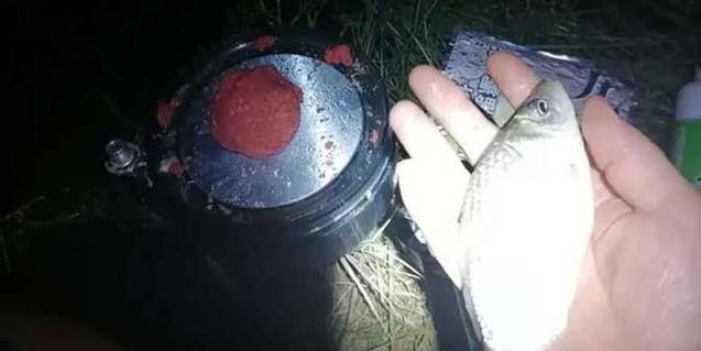 如何钓野草鱼？掌握这些技巧和方法能提高成功率吗？