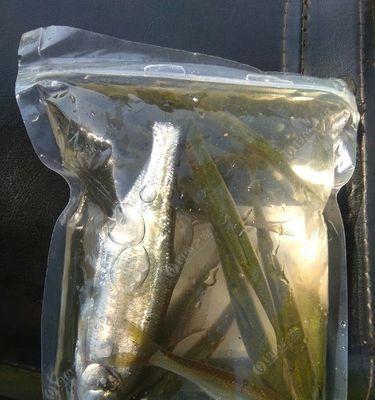 如何钓野草鱼？掌握这些技巧和方法轻松上钩！