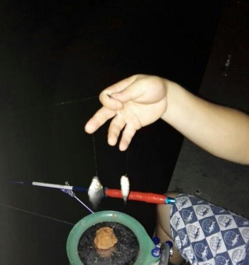 钓野河鲤鱼打窝技巧法有哪些？如何有效吸引鲤鱼？