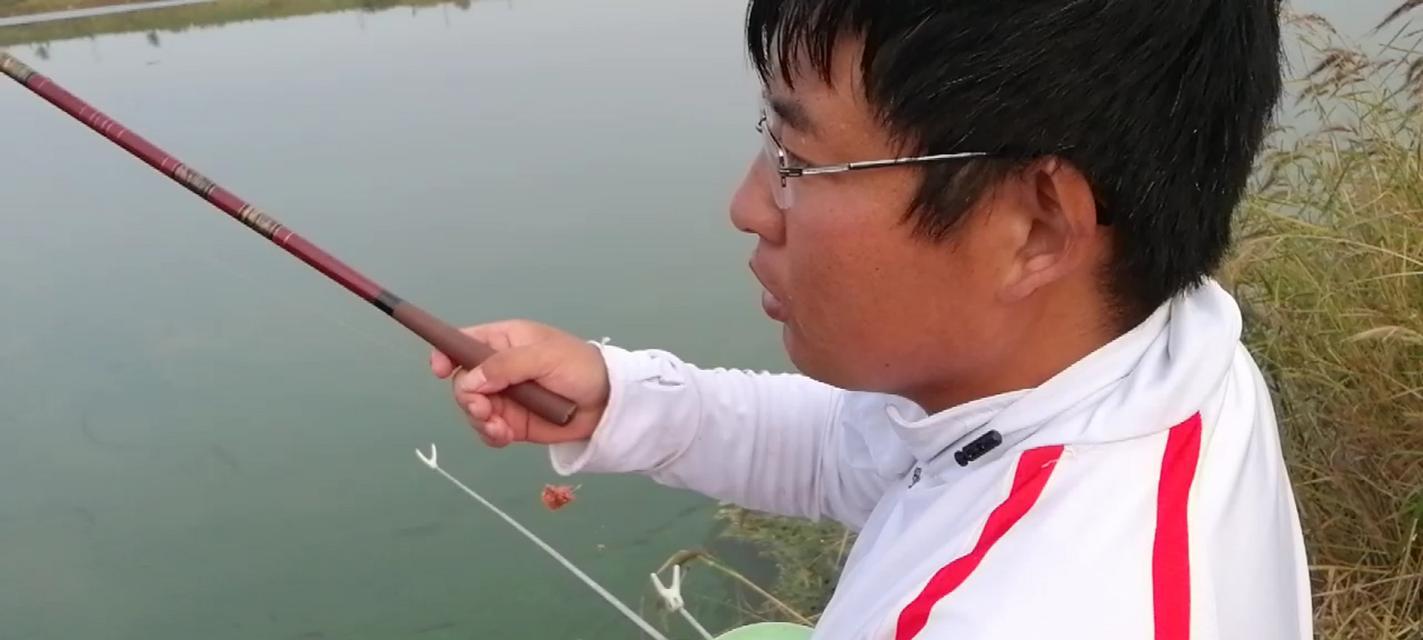 如何掌握钓野生鲫鱼的调漂技巧？常见问题有哪些？
