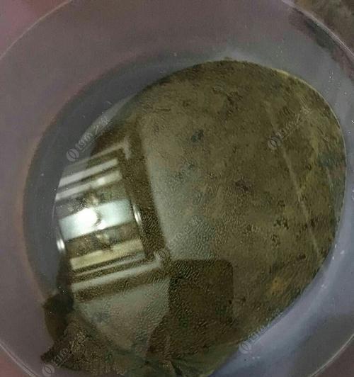 如何钓野生甲鱼？掌握哪些技巧和方法能提高成功率？