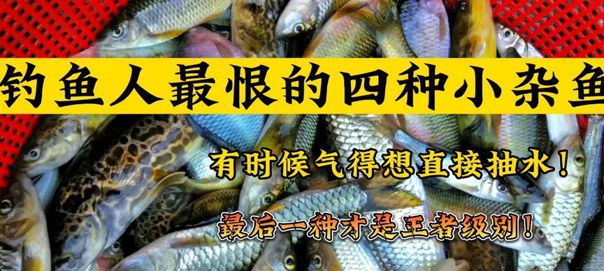 如何有效钓到野生上层小杂鱼？有哪些必备技巧？