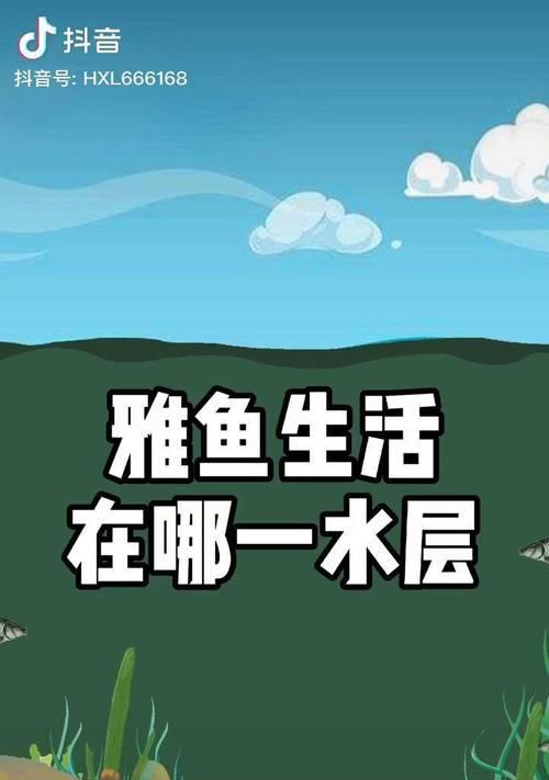 如何钓到野生雅鱼？掌握这些技巧轻松上钩！