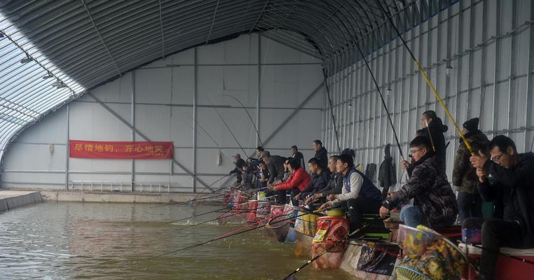 钓野鸭子的技巧是什么意思？如何提高钓鱼成功率？