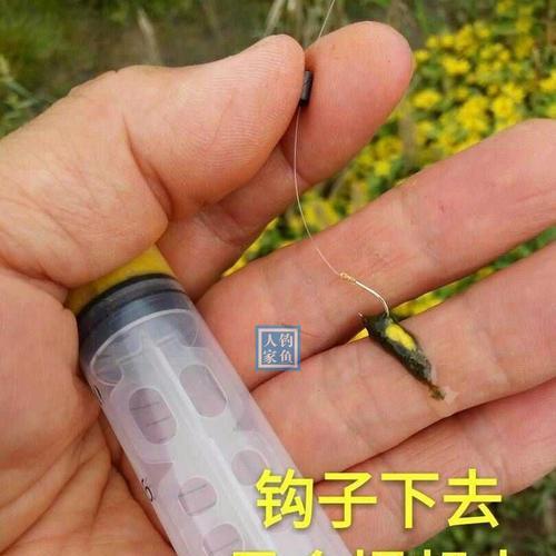 钓野鱼打窝技巧有哪些？如何正确使用打窝技巧提高钓鱼效率？