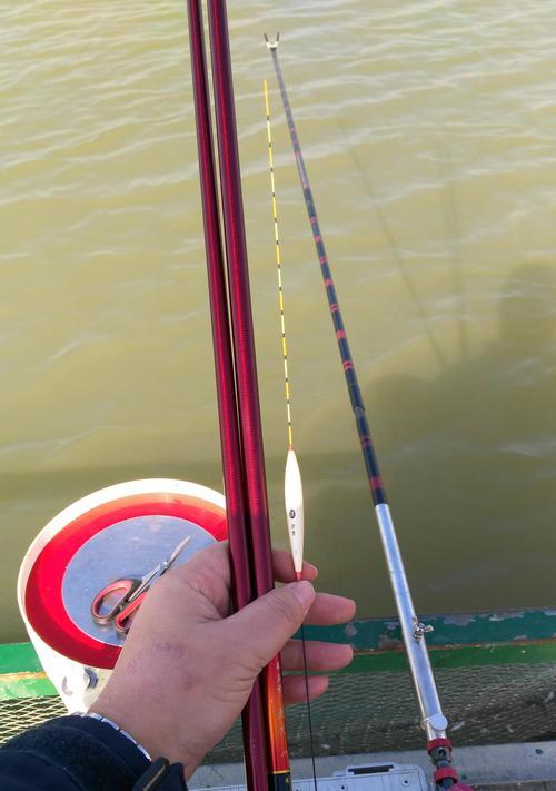 钓友私藏浮钓技巧有哪些？如何提高浮钓成功率？