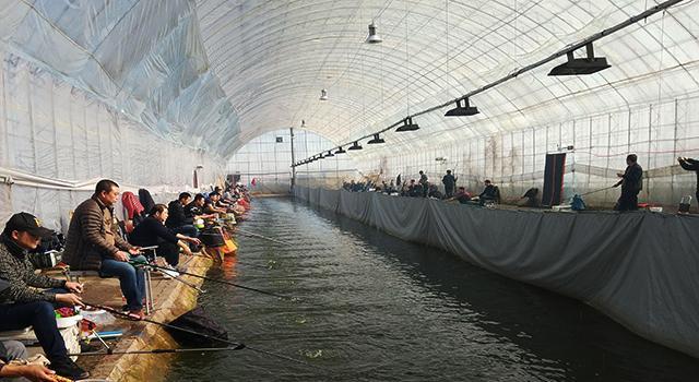 污水鱼塘钓鱼技巧有哪些？如何提高钓友在污水鱼塘的钓鱼成功率？