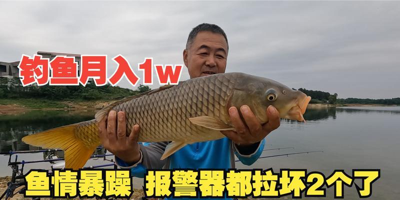 如何掌握钓鱼10000种小技巧？这些技巧能提高你的钓鱼效率吗？