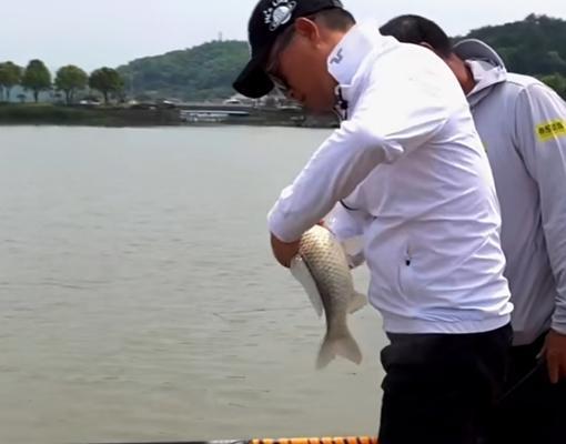 如何掌握钓鱼10000种小技巧？这些技巧能提高你的钓鱼效率吗？