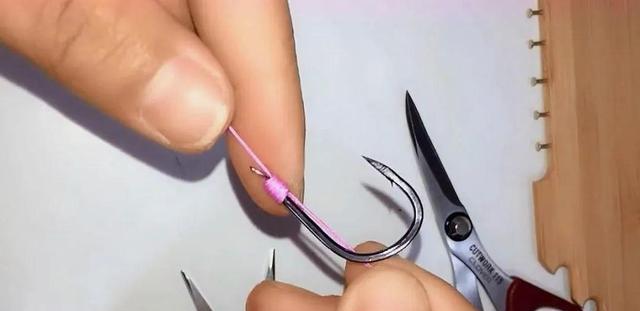 如何掌握钓鱼100种技巧？这些技巧能提高你的钓鱼效率吗？