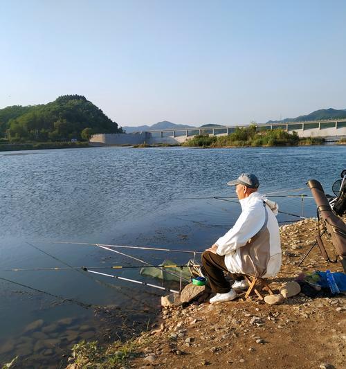 如何掌握钓鱼的10条经典技巧？这些技巧能提高钓鱼成功率吗？
