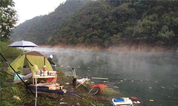 如何掌握钓鱼150斤的技巧？有哪些常见问题需要避免？