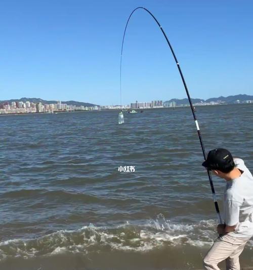 如何钓到40斤的大鱼？掌握这些技巧轻松实现！