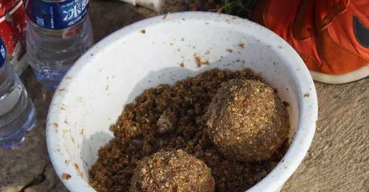 钓鱼扒草窝技巧有哪些？如何有效提高钓鱼成功率？