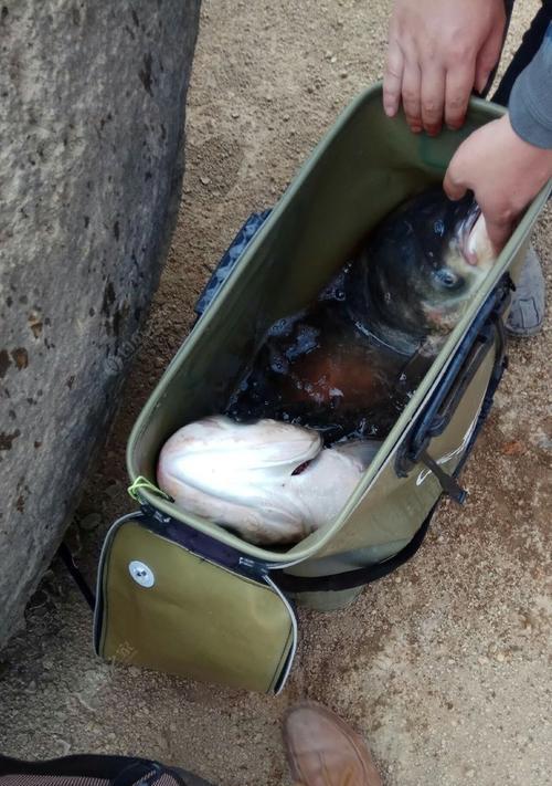钓鱼拔河的技巧和方法有哪些？如何提高钓鱼拔河的成功率？