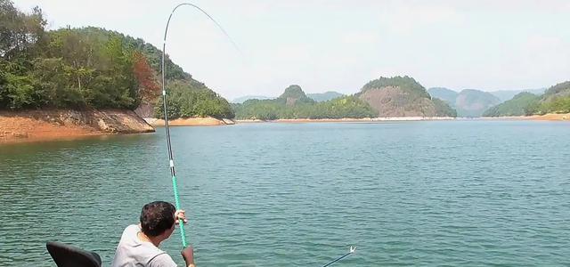 钓鱼拔河应对技巧有哪些？如何有效避免拔河现象？