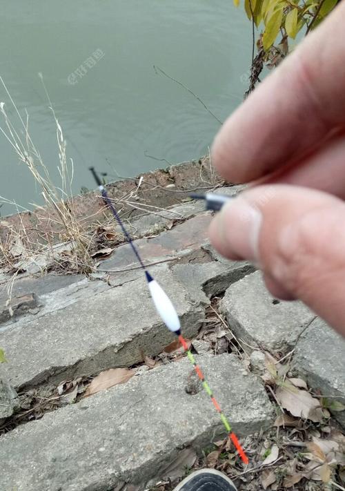 钓鱼半水调漂技巧是什么？如何掌握正确的调漂方法？