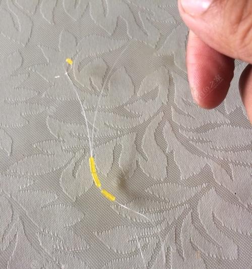 如何掌握钓鱼绑绳技巧单线绑法？常见问题有哪些？
