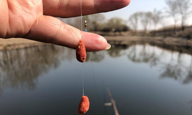如何掌握钓鱼绑线的全套方法和技巧？常见问题有哪些？