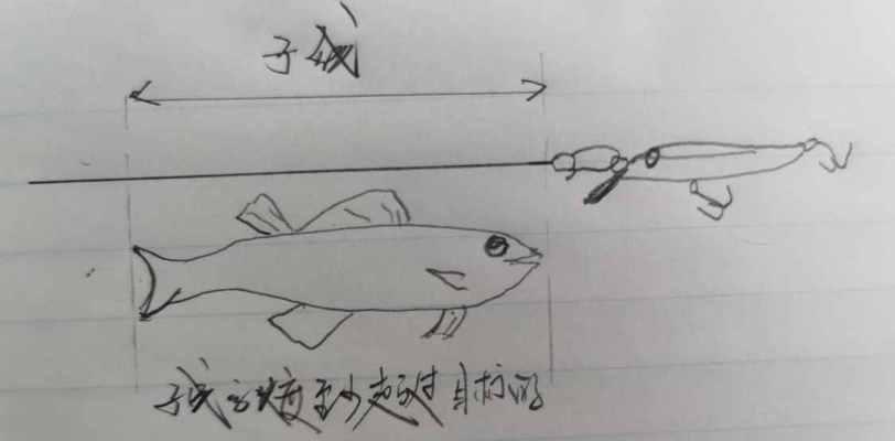 如何正确绑制钓鱼子线？绑子线技巧有哪些常见问题？