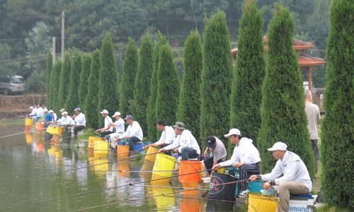 钓鱼比赛后期技巧有哪些？如何提高钓鱼比赛的最终成绩？
