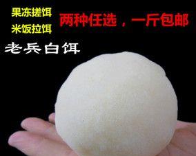 如何在钓鱼比赛中巧妙使用白饵？白饵使用有哪些常见问题？