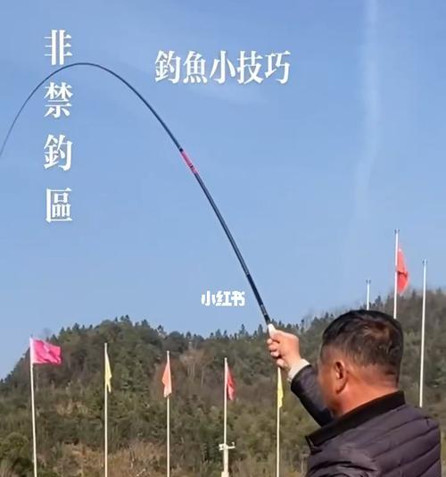 钓鱼必备的小技巧有哪些？如何提高钓鱼的成功率？