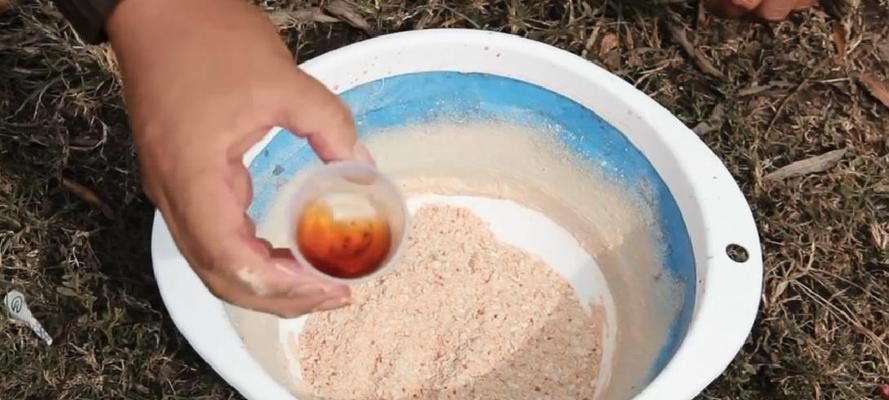 钓鱼饵料的使用技巧有哪些？如何正确选择和使用？