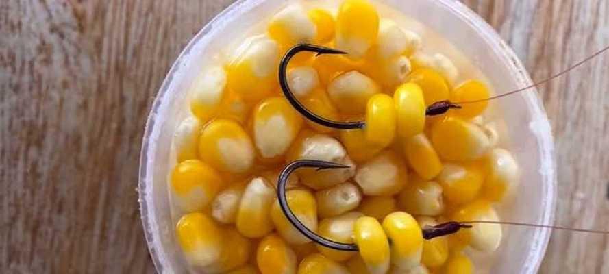 如何正确使用钓鱼饵料挂钩技巧？挂钩时常见的错误有哪些？