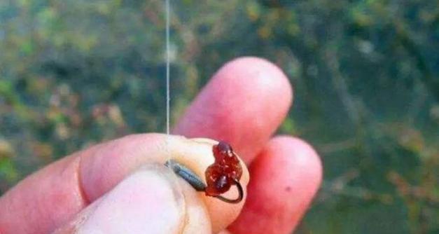 钓鱼发烧友绑钩技巧？如何快速掌握绑钩技巧？