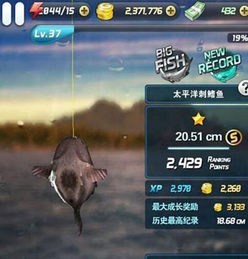 钓鱼发烧友分解技巧有哪些？如何提高钓鱼技能？