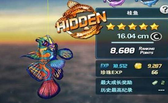 如何提升钓鱼发烧友的个人战技巧？有哪些实用技巧？