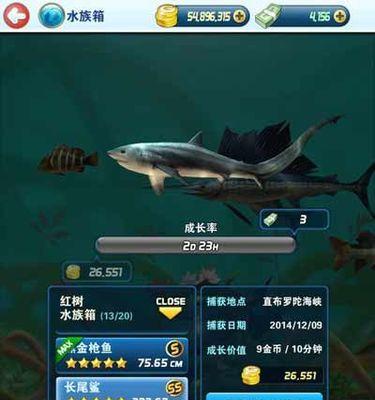 钓鱼发烧友如何进化珍珠技巧？珍珠进化技巧有哪些常见问题？