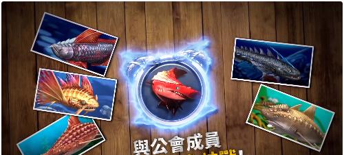 如何掌握钓鱼发烧友连击技巧？连击技巧的常见问题有哪些？