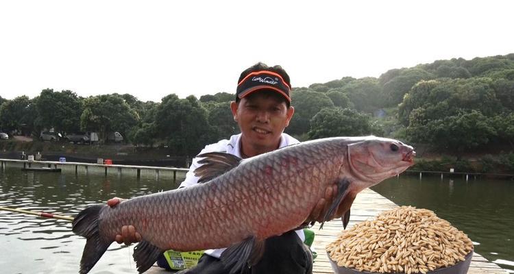 钓鱼发窝技巧教程？如何快速找到最佳钓点？