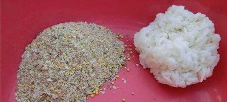 如何正确使用钓鱼法宝？常见问题有哪些解决方法？