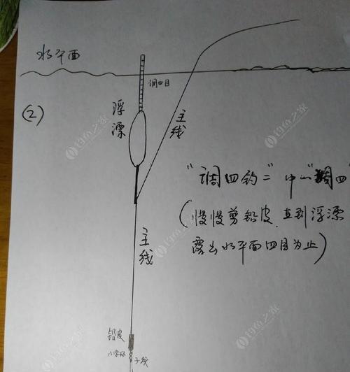 如何掌握钓鱼时的调漂技巧？调漂方法有哪些常见问题？