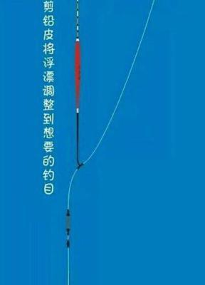 钓鱼方法与技巧初学者教程？如何快速掌握钓鱼技巧？