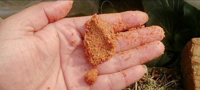钓鱼搓饵技巧有哪些？如何提高钓鱼成功率？