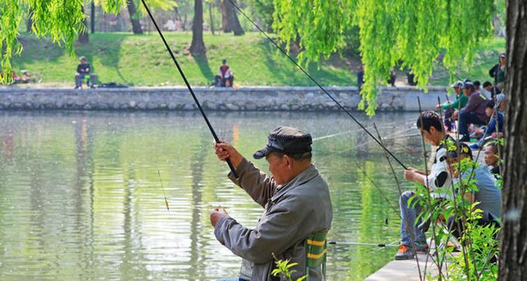 钓鱼方法与技巧黑坑有哪些？如何提高黑坑钓鱼的成功率？